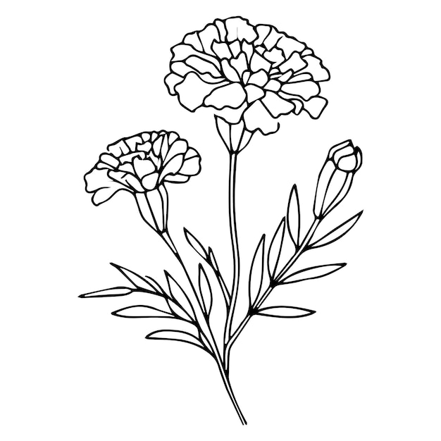 tatuaje de caléndula minimalista en blanco y negro tatuaje de caléndula mexicana dibujo de flor de caléndula