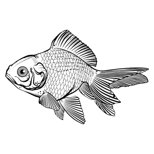 Tatuaje de pez negro, pez dorado, pez koi sobre un fondo blanco