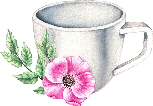 Taza de acuarela con flores de rosa moscada aisladas