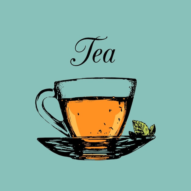 Taza de té aislada Vector transparente taza y platillo ilustración en color Boceto dibujado a mano de refresco para restaurante bar cafetería diseño de menú logotipo, etc.