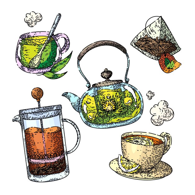 Taza de té bebida conjunto boceto vector dibujado a mano