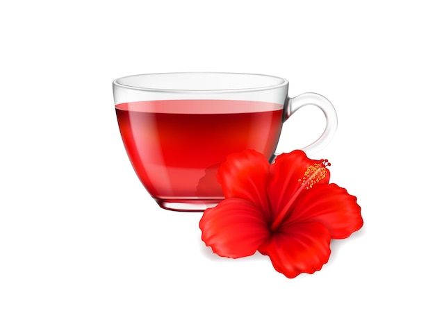 Vector taza de té de hibisco realista y flor bebida a base de hierbas y bebida orgánica fondo vectorial té de hibisco o té floral rojo en taza de vidrio aislado flor realista en 3d de hibisco para carcade de té exótico