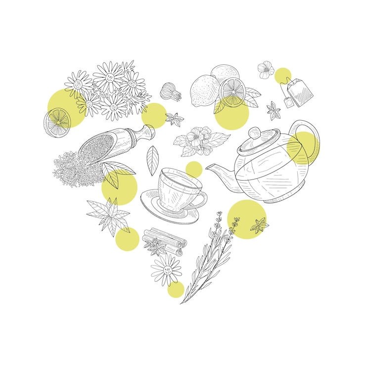 Vector té de hierbas elementos en forma de corazón menú de café o restaurante diseño de tienda de té bebidas saludables de flores y hierbas ilustración vectorial dibujada a mano