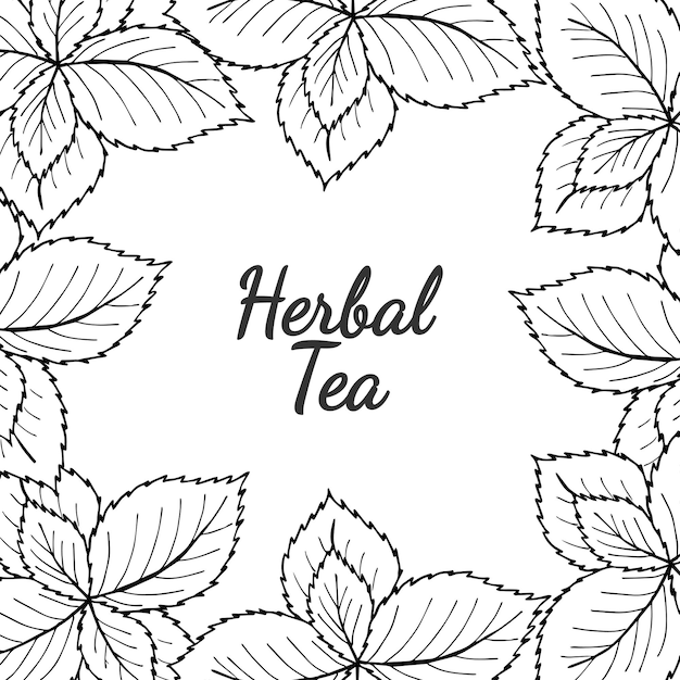 Té de hierbas con revestimiento de menta