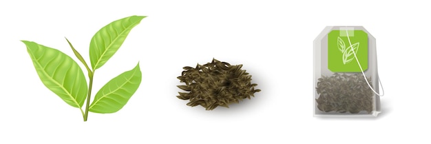 Bolsa de Té de Hierbas con Etiqueta Verde PNG transparente - StickPNG