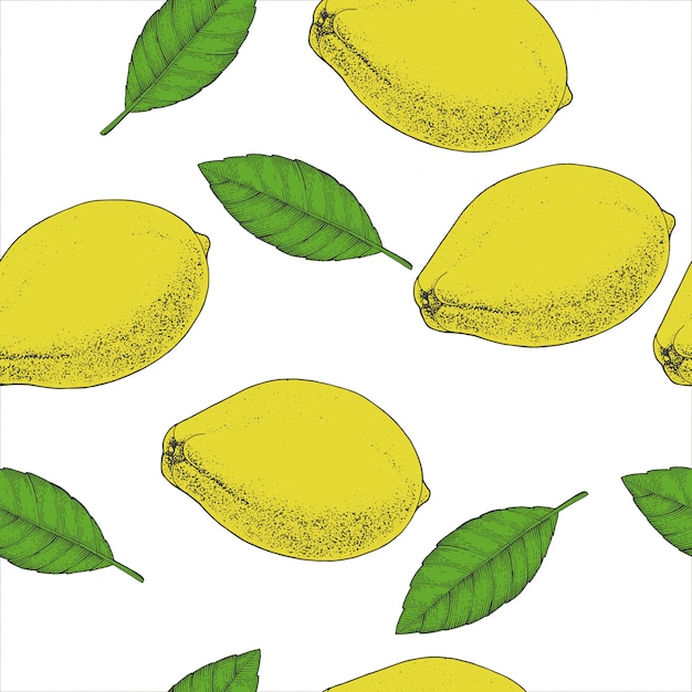 Té de limón sin patrón. Diseño de paquete de bebidas calientes a base de hierbas orgánicas. Dibujado a mano color de tinta bosquejado. diseño de fondo.