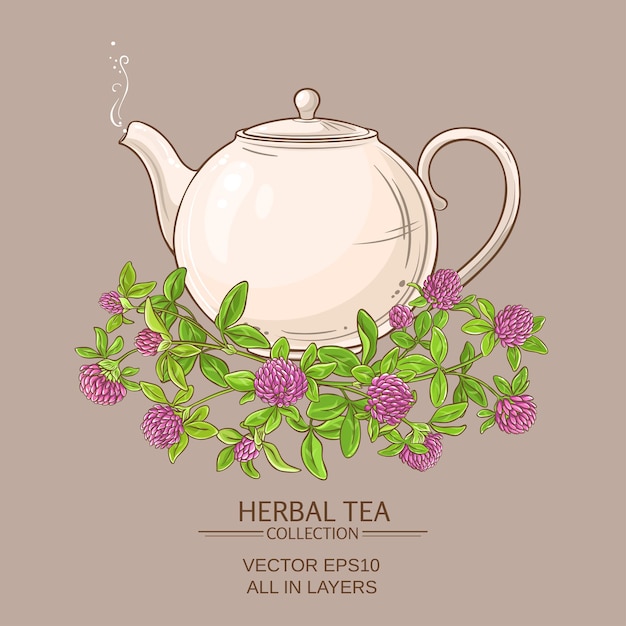 Té de trébol en tetera