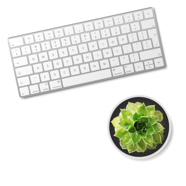 Teclado de ordenador y flor suculenta aislado sobre fondo blanco.