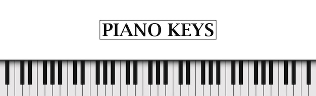 Teclas de piano blanco y negro de fondo blanco realista Vector