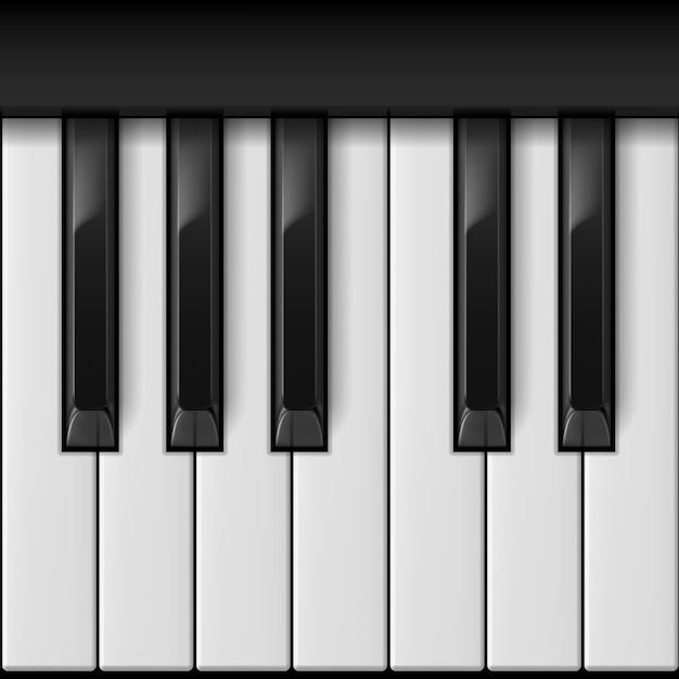 Vector teclas de piano realistas