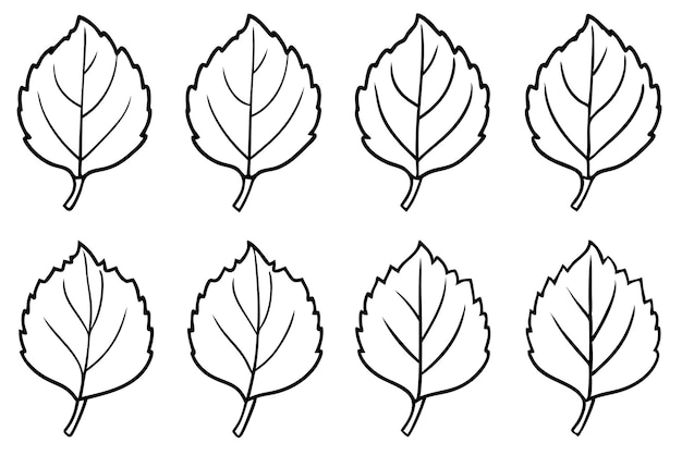 Técnica de dibujo de la línea de la hoja de Aspen