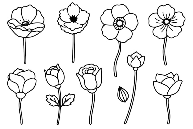 Técnicas de ilustración de Poppy Line Art para artistas