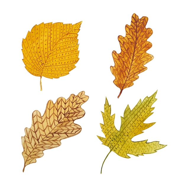 Tejer acuarela hojas de otoño clipart