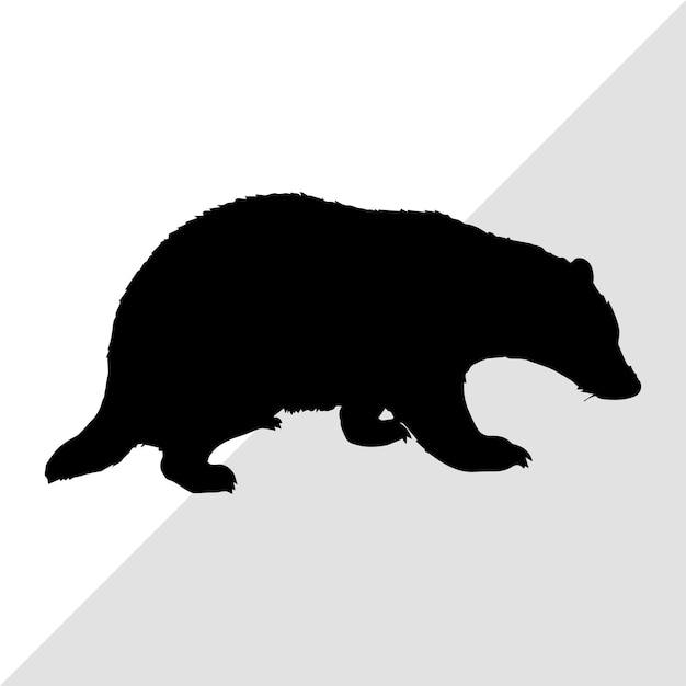 tejón silueta tejón vectorial tejón silhoueta dibujado tejón ilustrado tejón