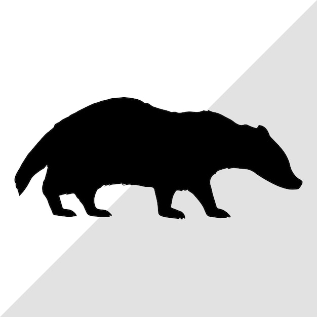 tejón silueta tejón vectorial tejón silhoueta dibujado tejón ilustrado tejón