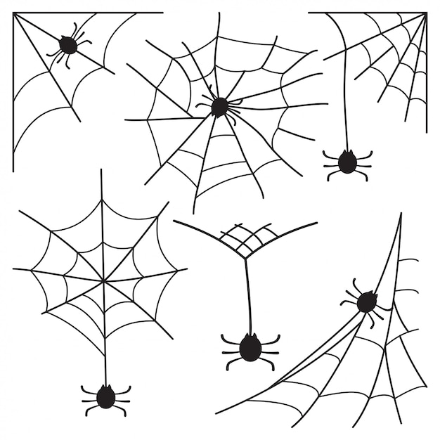 Telaraña con araña establece icono para Halloween aislado en blanco.