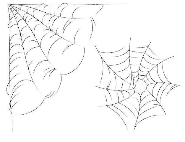 Vector telaraña para tarjetas y fondo para halloween