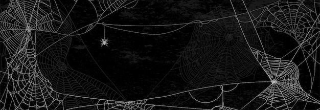 Vector telas de araña en la pared negra - banner de halloween con araña sobre fondo oscuro.