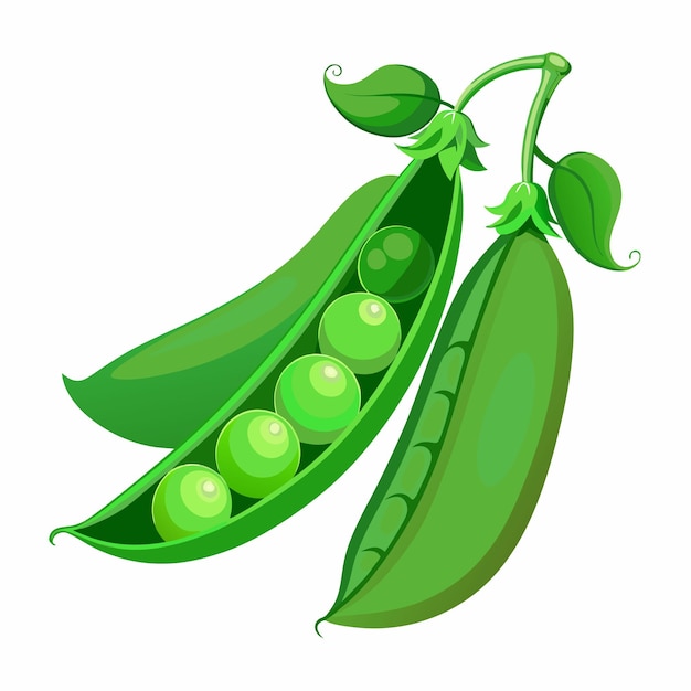 Telón de fondo blanco con guisantes verdes sensatos