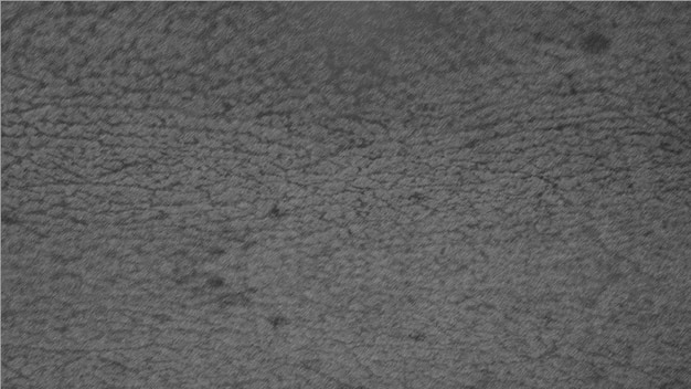 Telón de fondo con textura de pared de hormigón sólido
