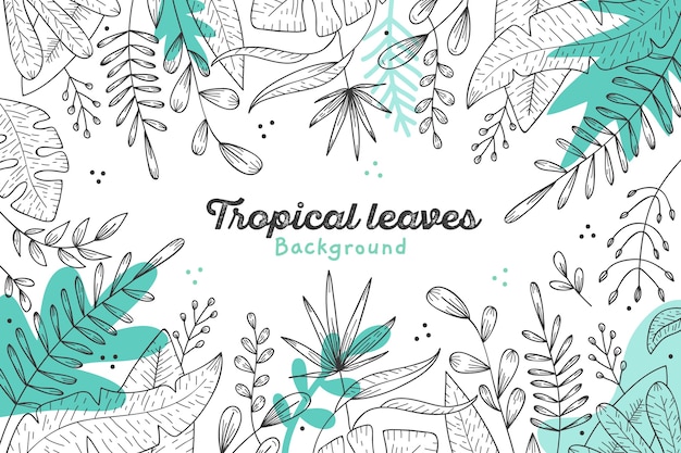 Tema de fondo de hojas tropicales