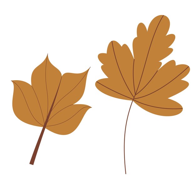 Temporada de otoño y otoño Icono de vacaciones Artes vectoriales Objetos y materiales alrededor de octubre