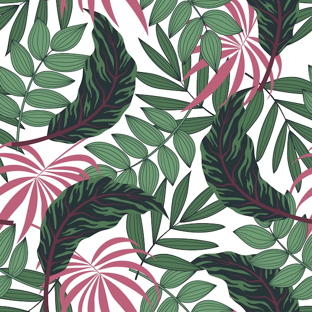 Tendencia de patrones sin fisuras de verano con plantas tropicales