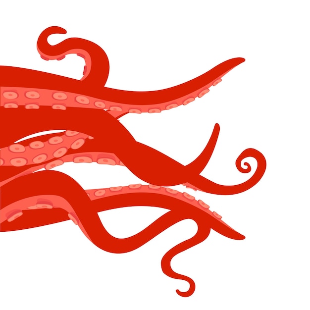 Tentaculos de pulpo aislados sobre un fondo blanco