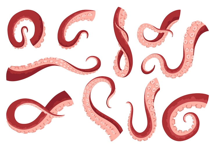 Vector tentáculos de pulpo o icono de calamar de mar conjunto de brazo de monstruo marino espeluznante en fondo blanco dibujos animados vectoriales