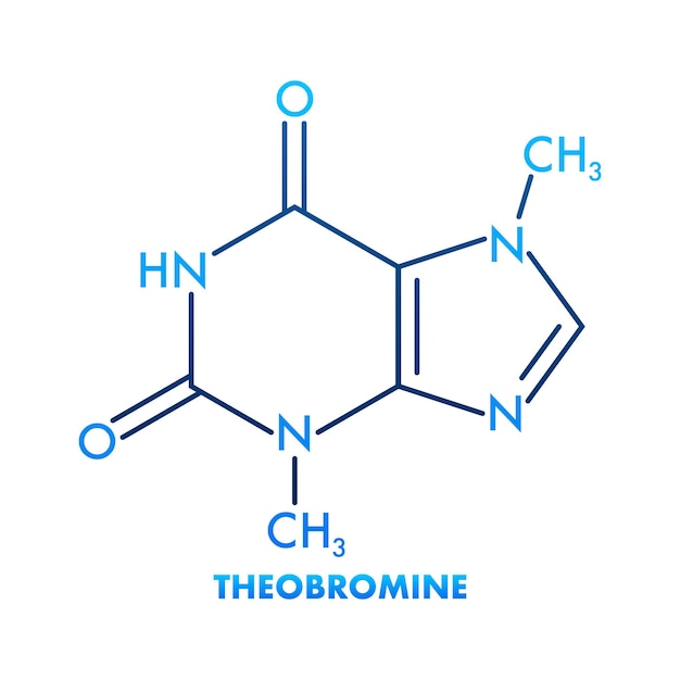 Vector teobromina fórmula química teobromina estructura molecular química