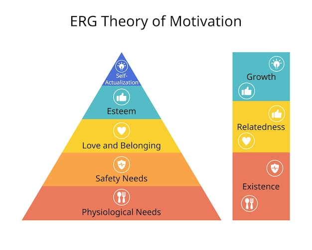 Teoría de la motivación ERG que los humanos tienen tres tipos básicos de necesidades que los motivan para la existencia