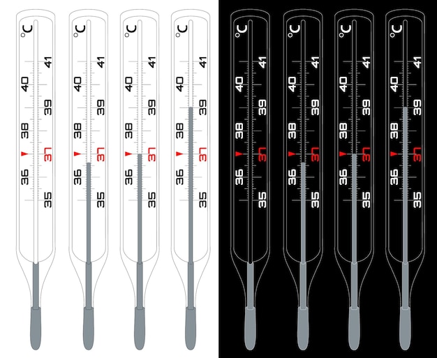 Vector termómetro para medir la temperatura corporal escala de medición celsius