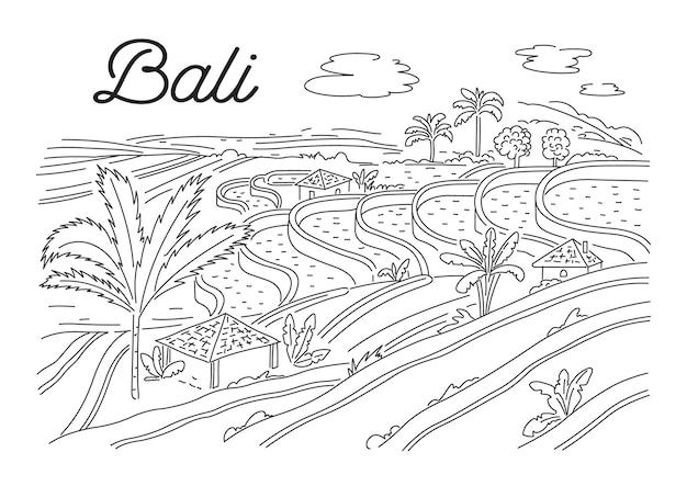 Terrazas de arroz en bali. naturaleza indonesia. ilustración lineal vectorial, boceto