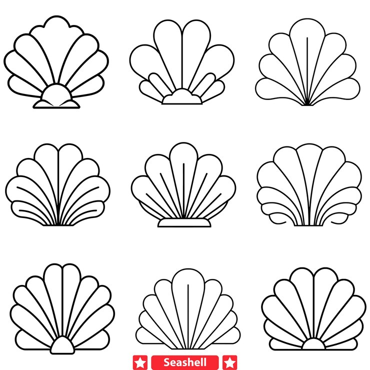 Vector tesoros submarinos intrincadas siluetas vectoriales de conchas marinas para creaciones costeras