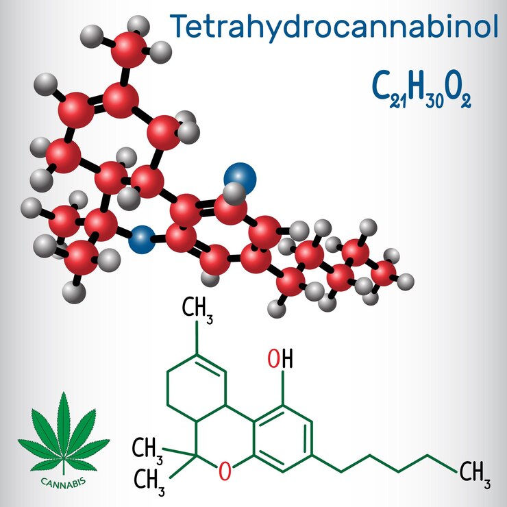Vector tetrahidrocannabinol (thc) es el principal componente psicoactivo del cannabis.