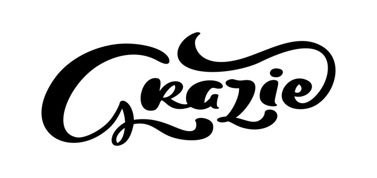 Vector texto escrito a mano de grazie gracias en italiano ilustración de tinta pincel moderno