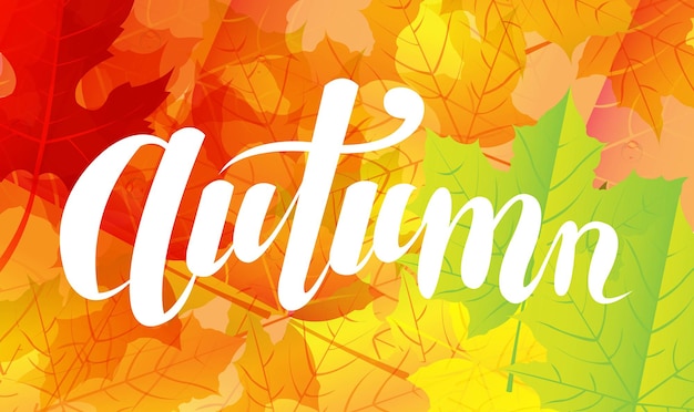 Texto de letras de otoño con hojas, ilustración vectorial