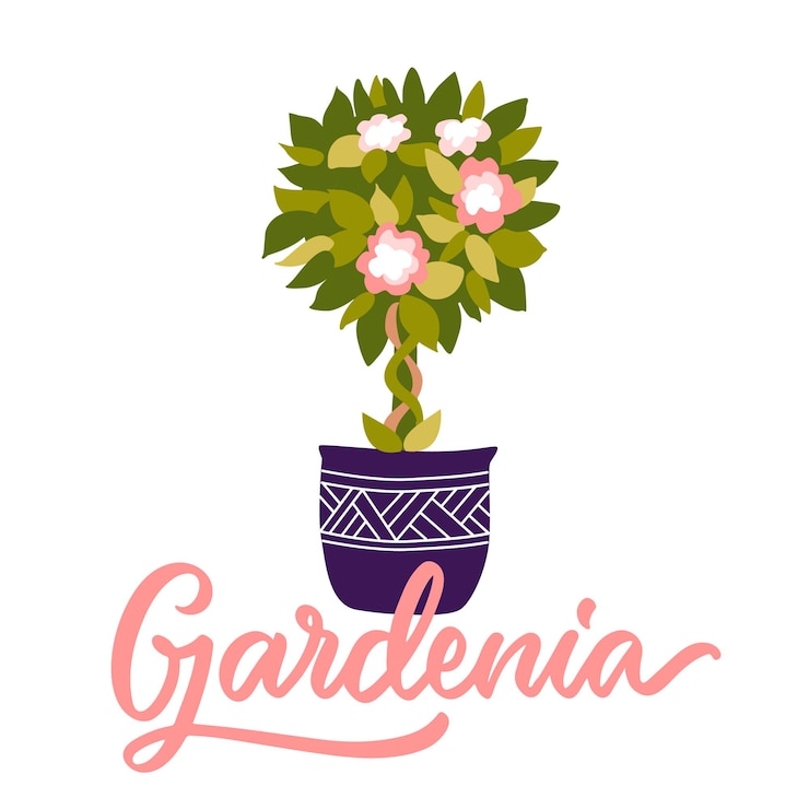 Vector el texto y la planta de la casa de flores gardenia el logotipo escrito a mano es bueno para los mercados de las tiendas de flores