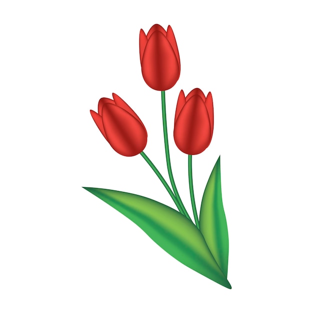 Vector texto de primavera con flor de tulipán. ilustración de vector eps10
