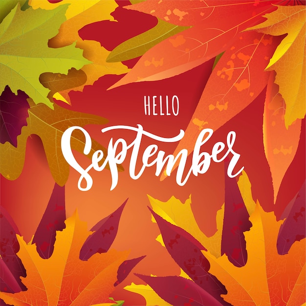 Texto de septiembre con brillantes hojas de otoño. concepto de publicidad
