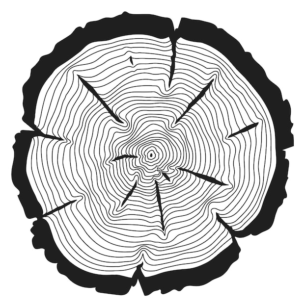 Vector textura de anillos de madera líneas negras cortadas con sierra de troncos