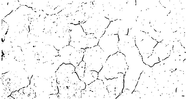 Textura en blanco y negro de un suelo agrietado