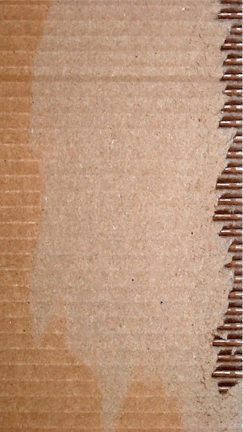 Vector textura de cartón con lágrimas