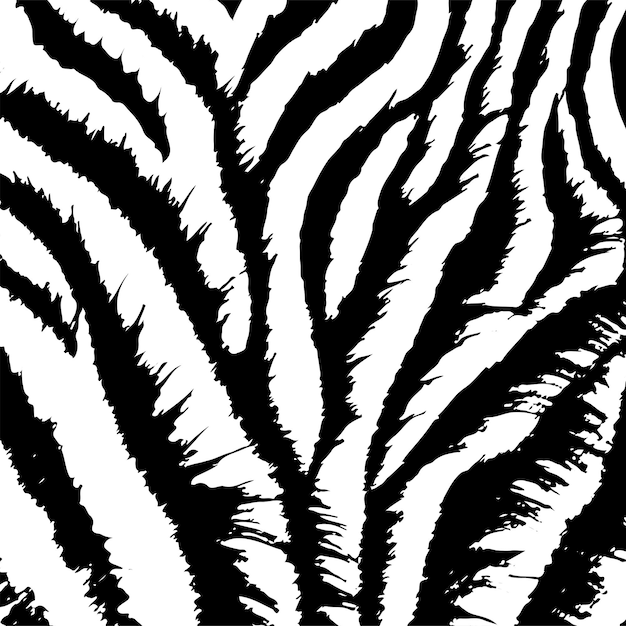 Textura de dibujo de cebra animal textura de franja negra sin costura