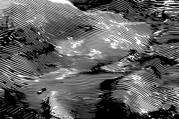 textura digital