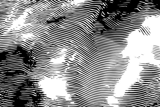 textura digital