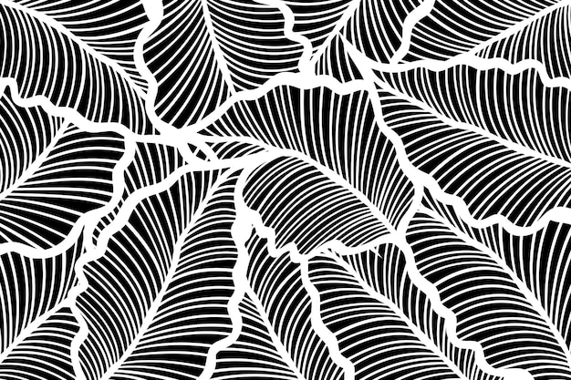 Textura del diseño de fondo de la hoja negra