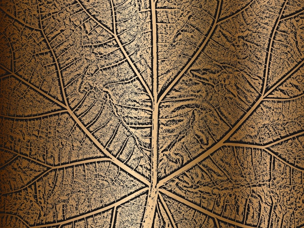 Textura de folleto de hojas de árbol de socorro sobre fondo dorado Fondo grunge blanco y negro