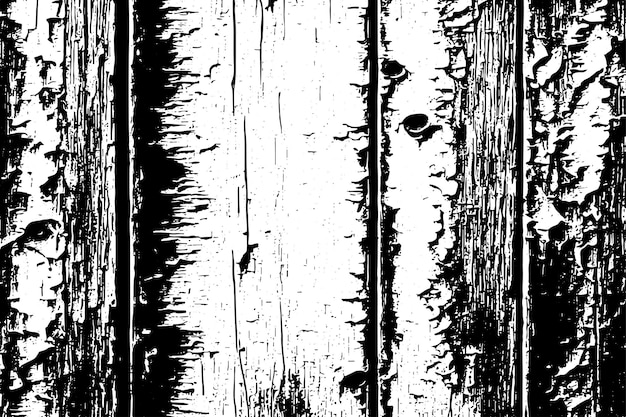 Textura grunge en blanco y negro Ilustración vectorial Textura de fondo