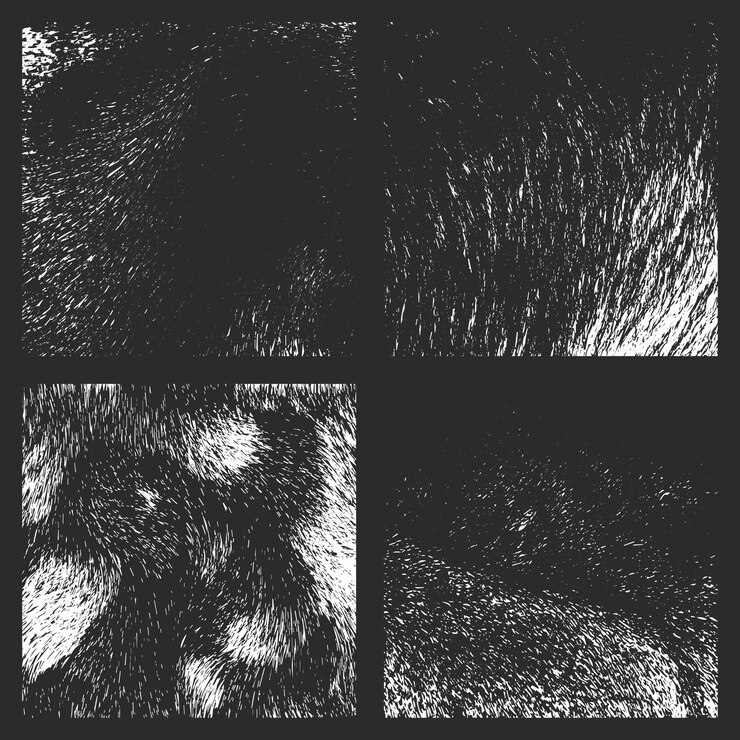 Vector textura grunge papel áspero texturizado papeles arrugados páginas con texturas establecidas